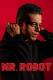 Mr. Robot