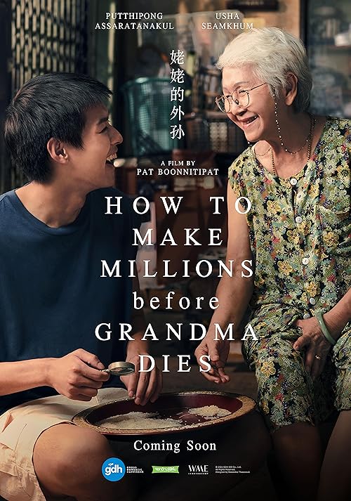 دانلود فیلم چگونه قبل از مرگ مادربزرگ میلیون‌ها دلار به دست آوریم | How to Make Millions Before Grandma Dies 2024