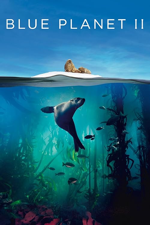 دانلود سریال سیاره آبی دو | Blue Planet II 2017