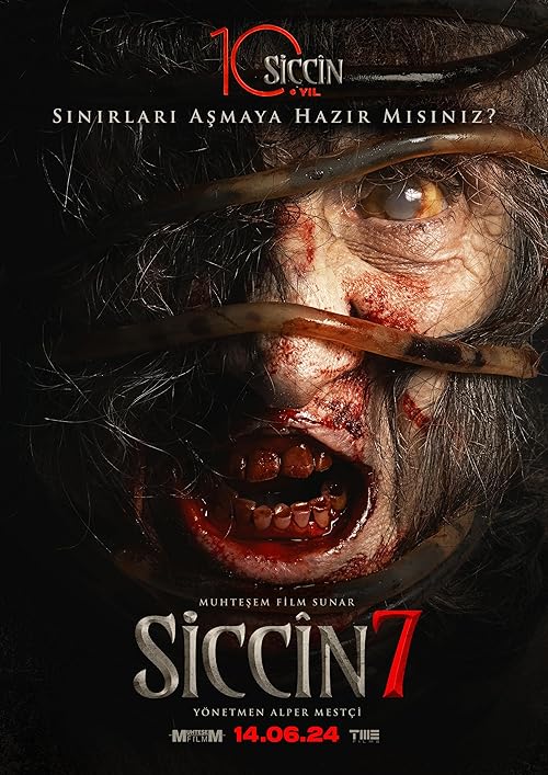 دانلود فیلم سجین 7 | Siccin 7 2024